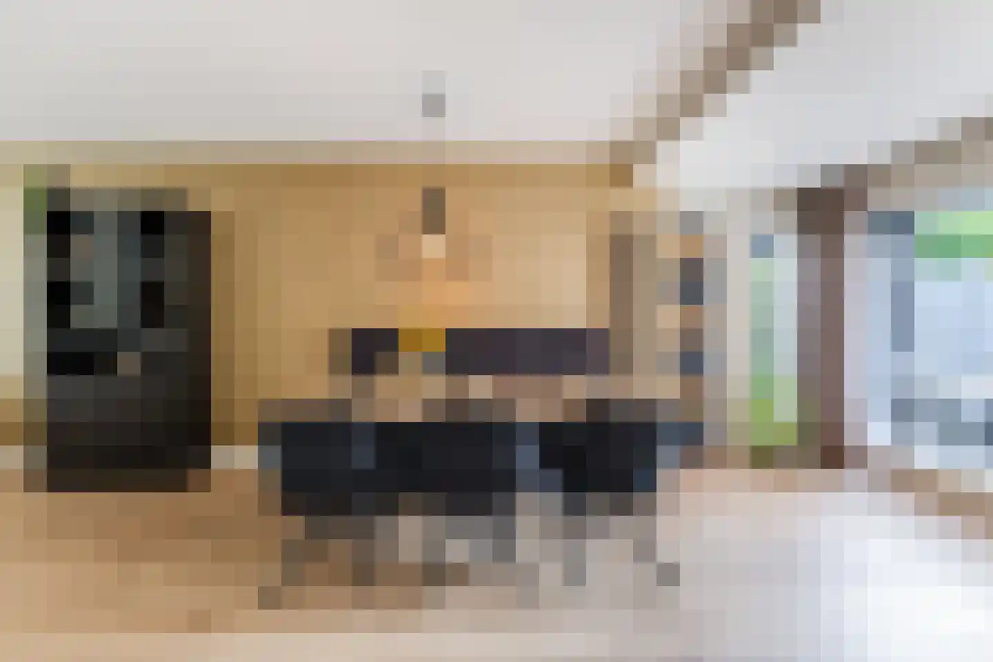 Oude Lieshoutseweg 6 a Sint-Oedenrode thumbnail 4