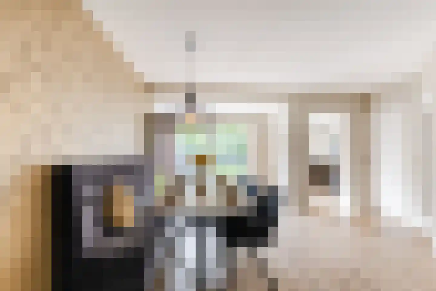 Oude Lieshoutseweg 6 a Sint-Oedenrode thumbnail 7