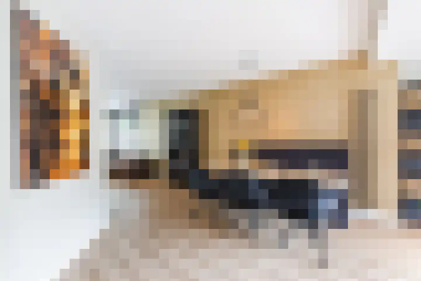 Oude Lieshoutseweg 6 a Sint-Oedenrode thumbnail 8