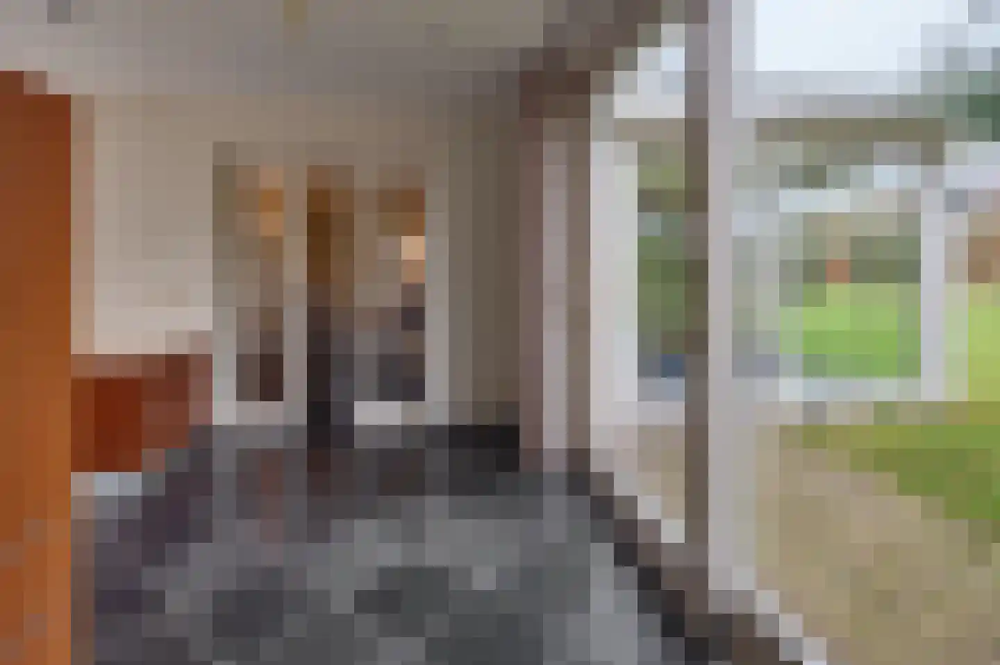 Oude Liesselseweg 67 Deurne thumbnail 12