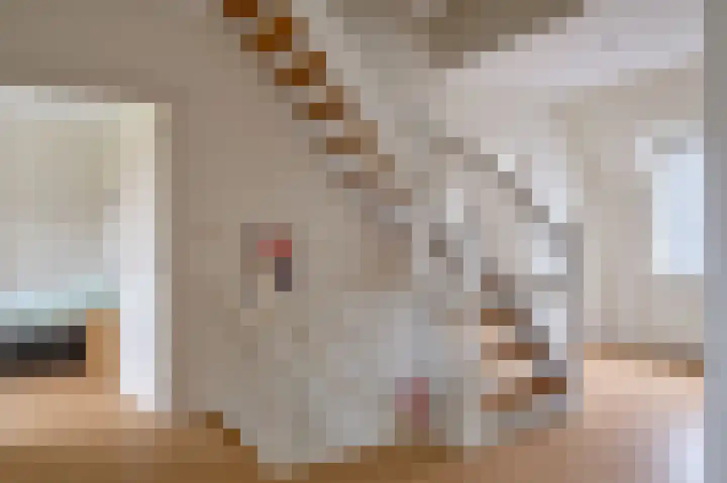 Oude Liesselseweg 67 Deurne thumbnail 22