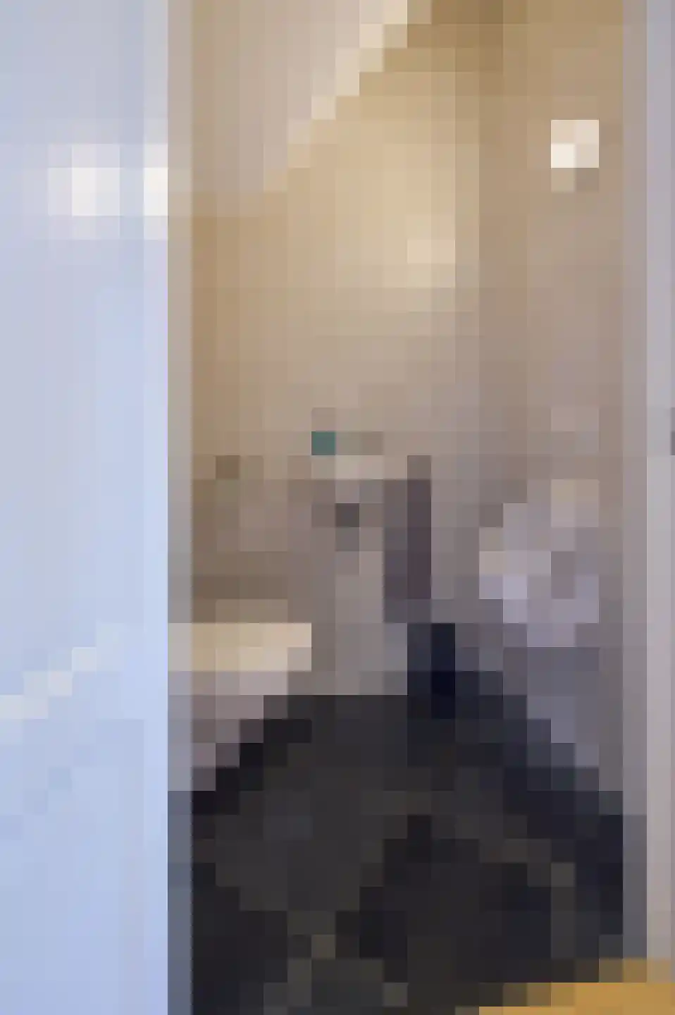 Oude Liesselseweg 67 Deurne thumbnail 31