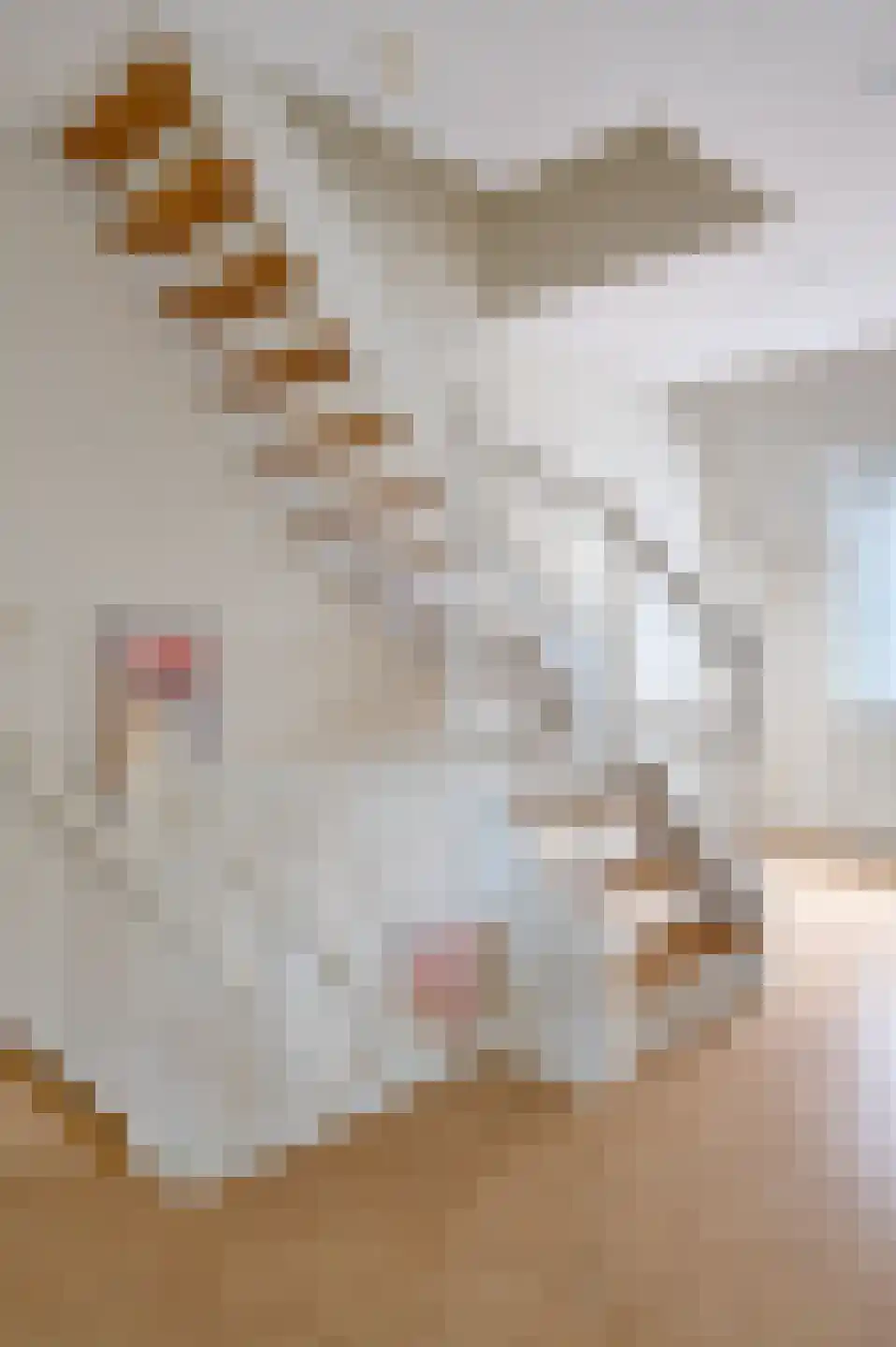 Oude Liesselseweg 67 Deurne thumbnail 32