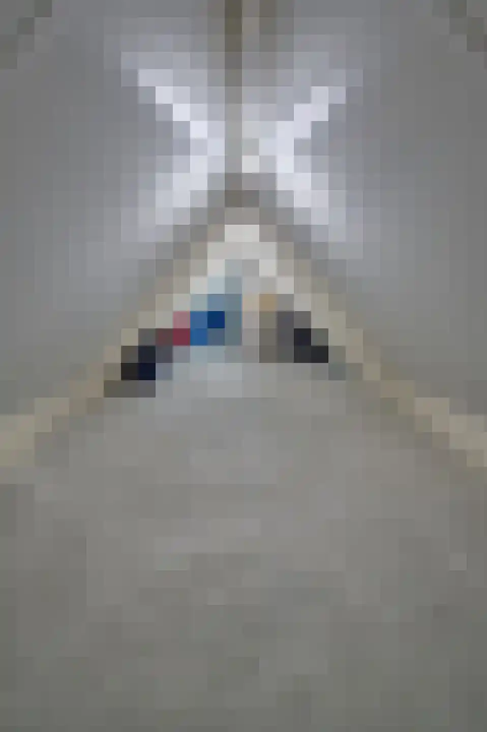 Oude Liesselseweg 67 Deurne thumbnail 33