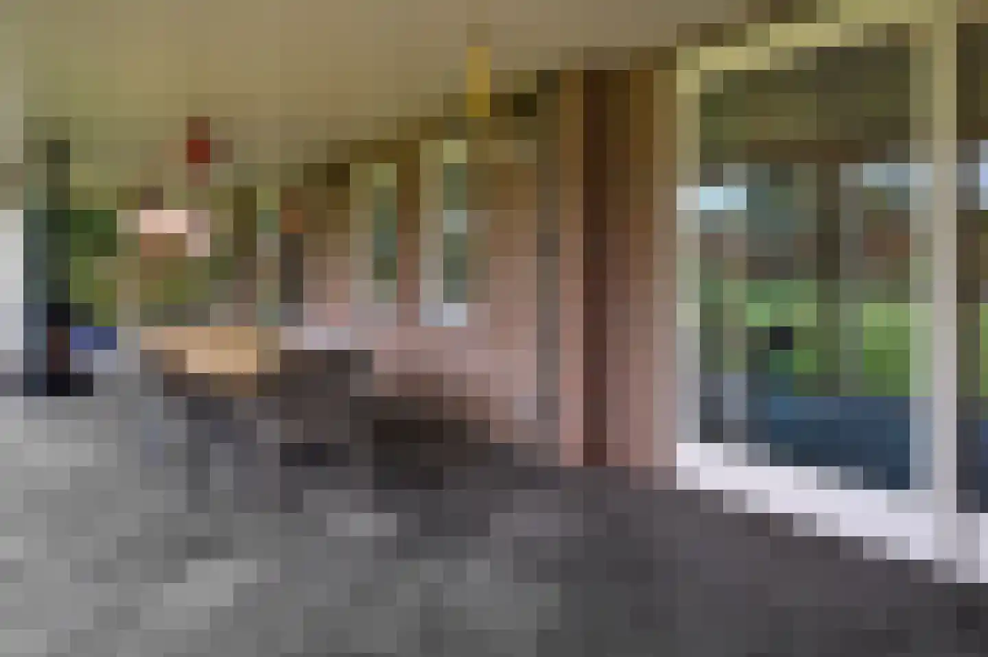 Oude Liesselseweg 67 Deurne thumbnail 36