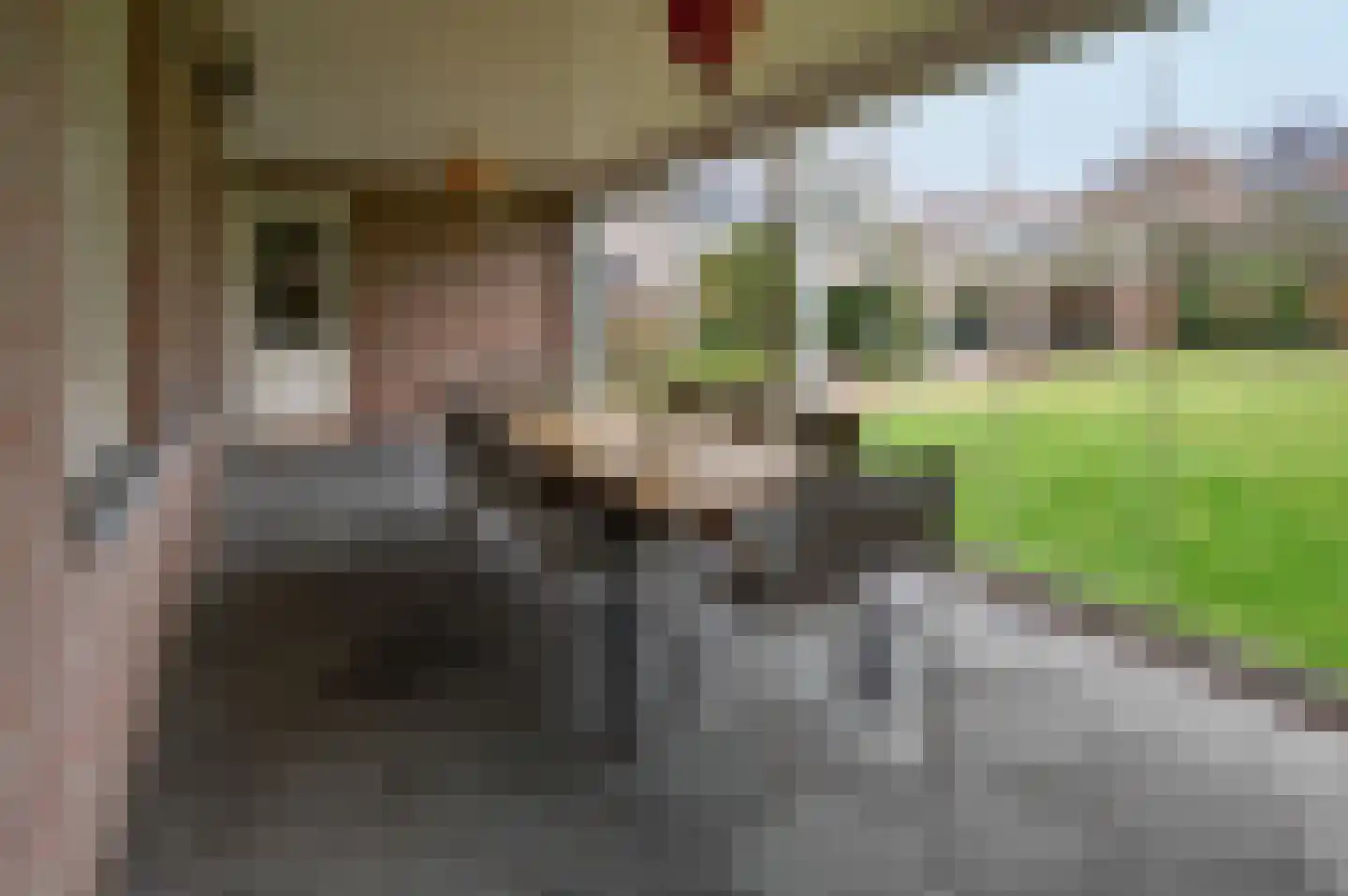 Oude Liesselseweg 67 Deurne thumbnail 37