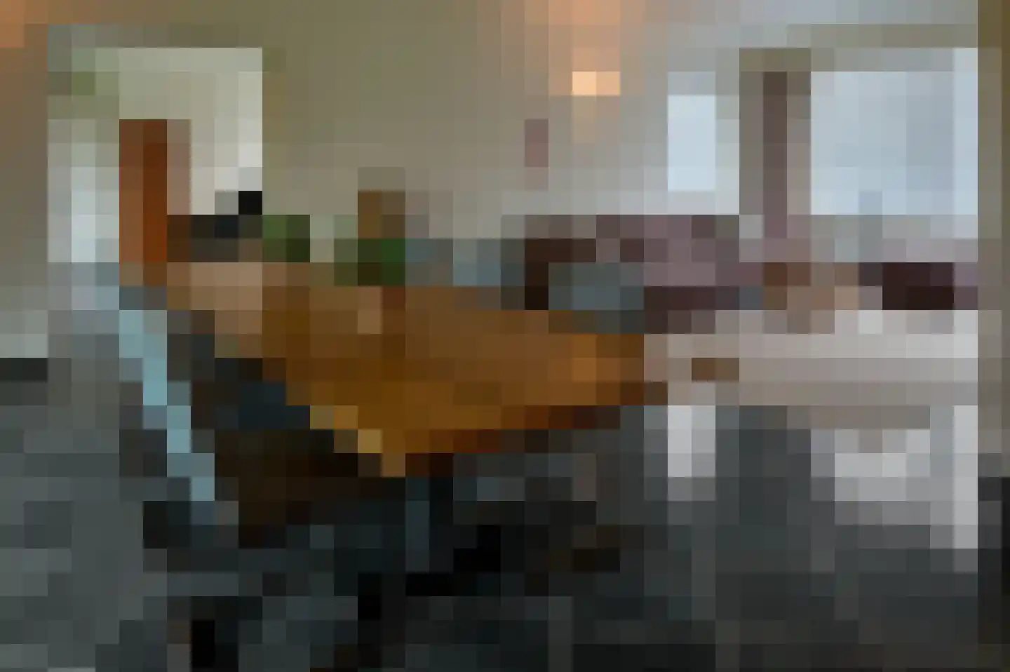 Oude Liesselseweg 67 Deurne thumbnail 4