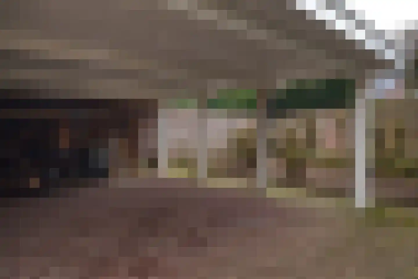 Oude Liesselseweg 67 Deurne thumbnail 43