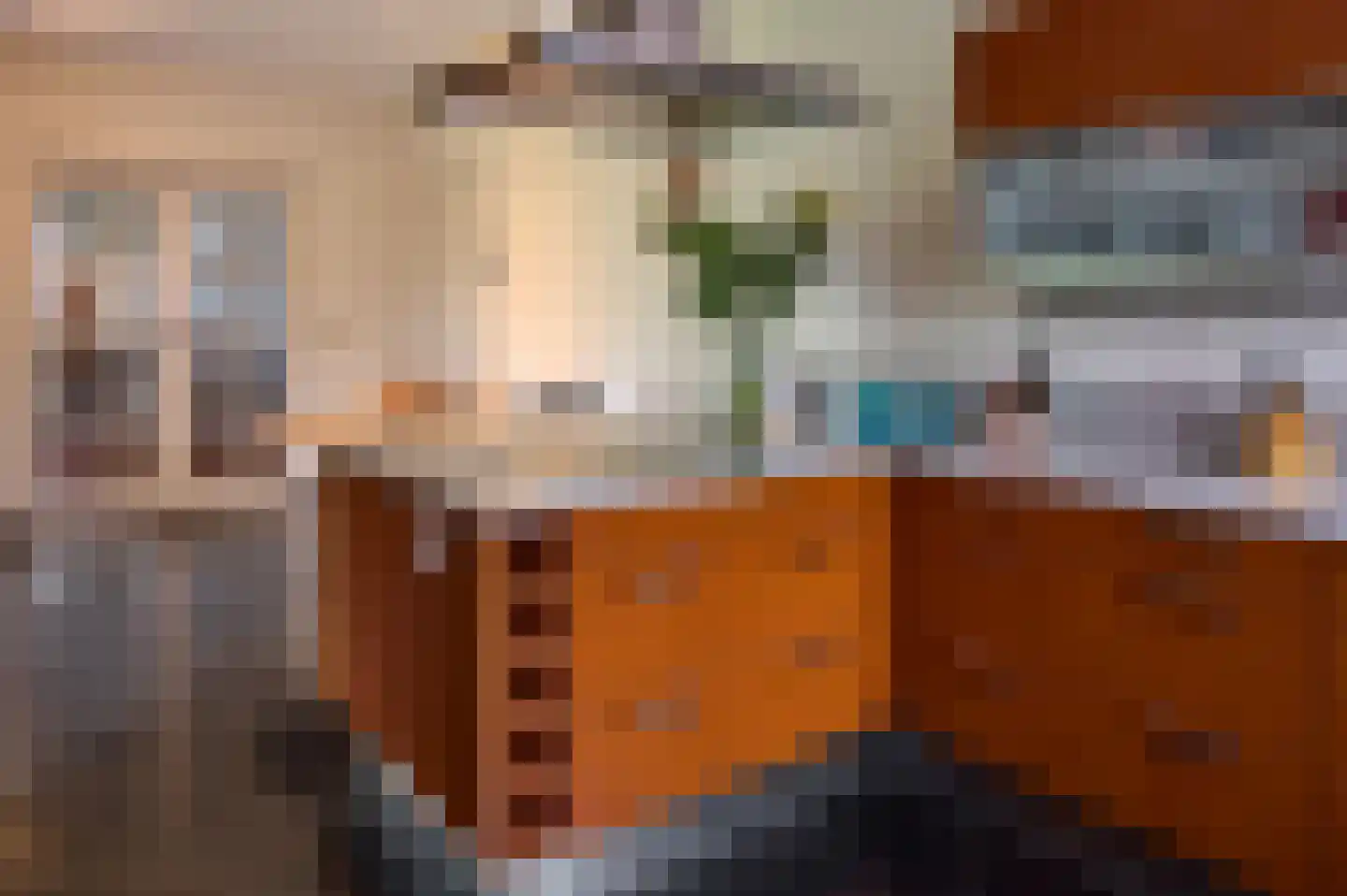 Oude Liesselseweg 67 Deurne thumbnail 8