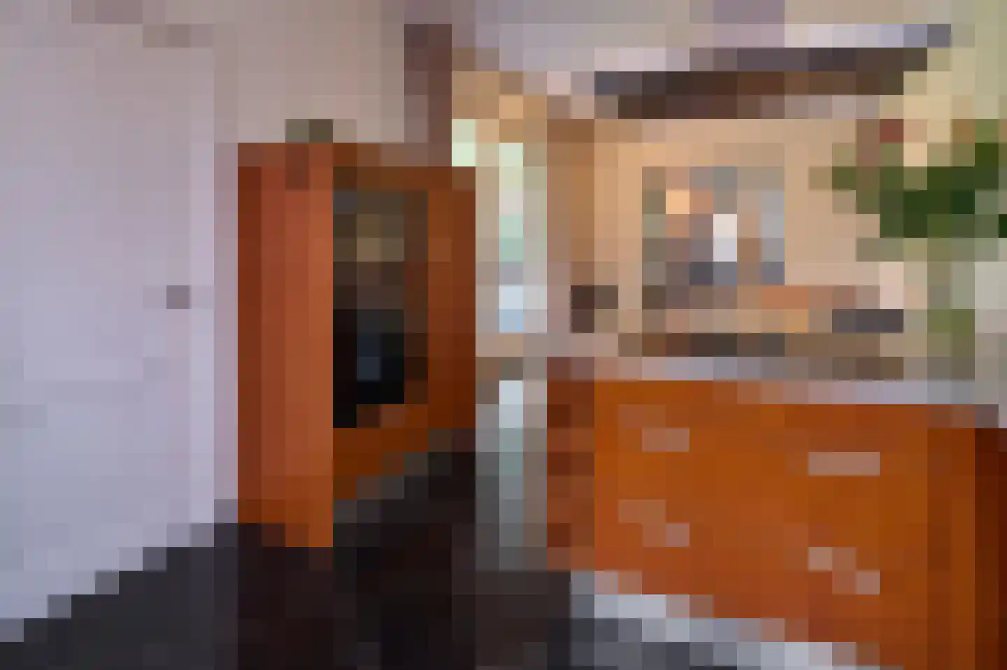 Oude Liesselseweg 67 Deurne thumbnail 9