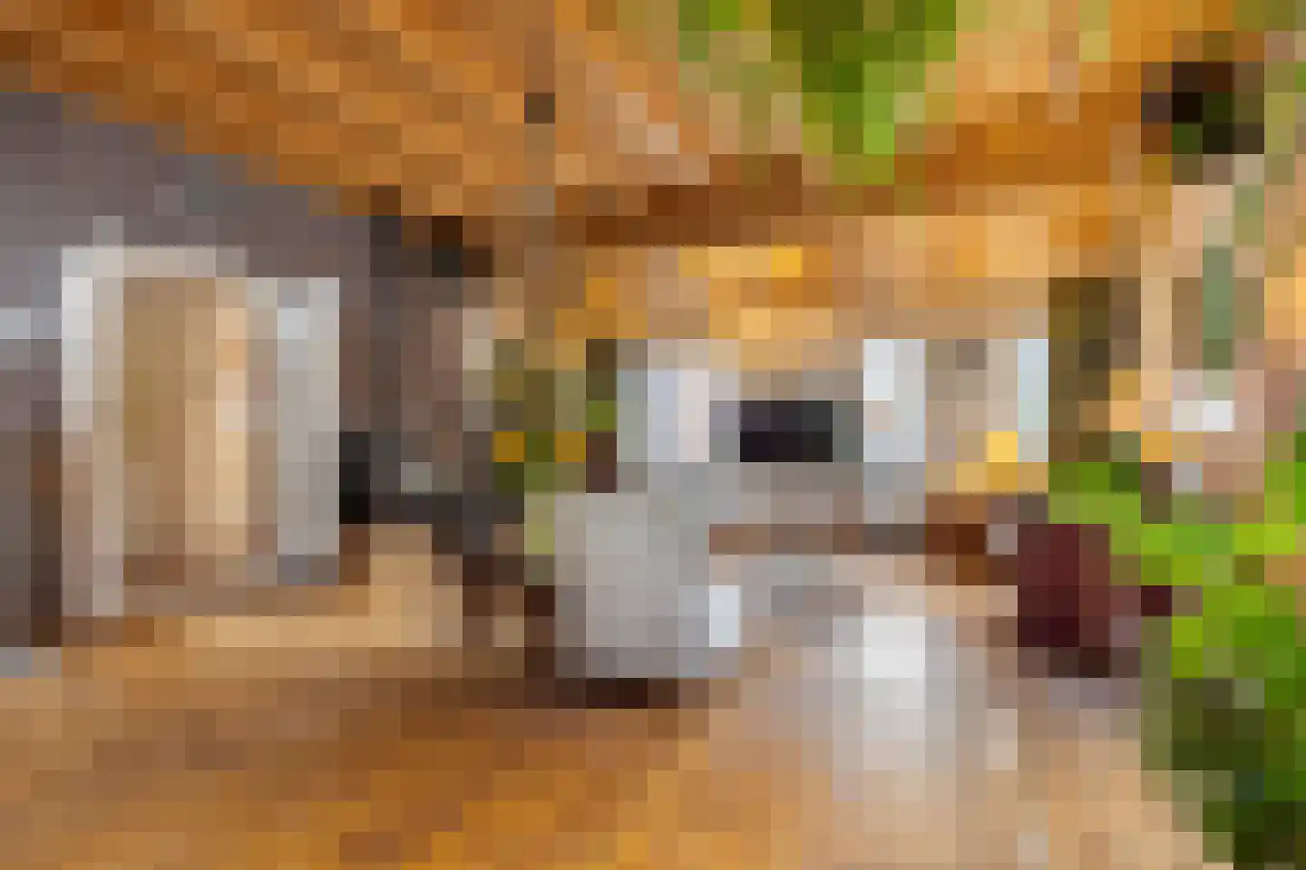 Oude Lindelaan 13 Bellingwolde thumbnail 11