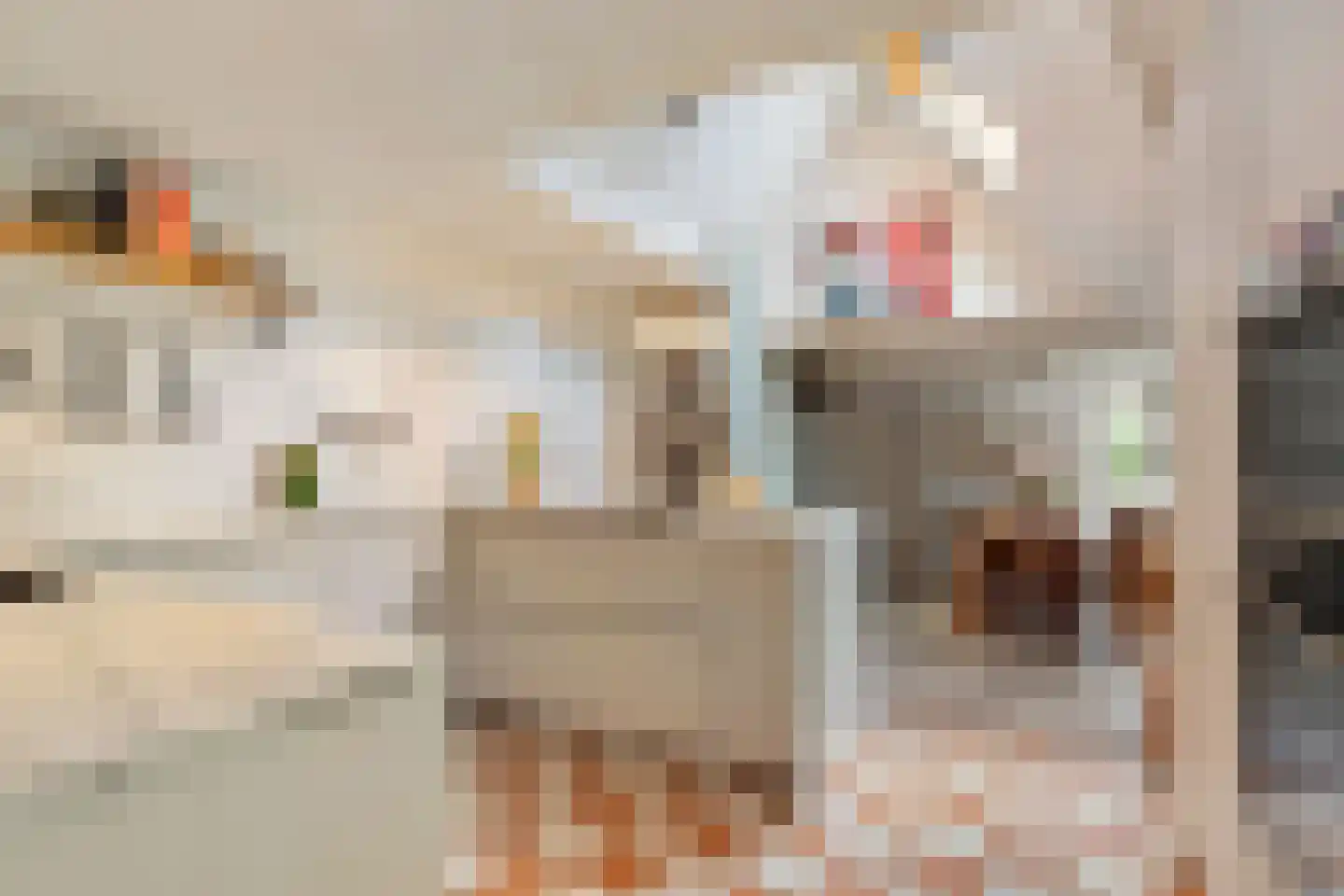 Oude Lindelaan 13 Bellingwolde thumbnail 17