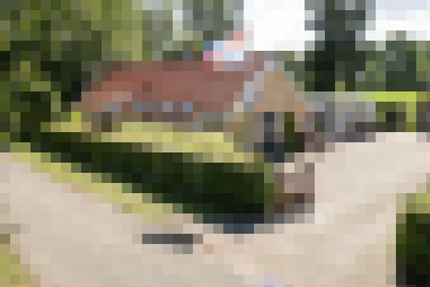 Oude Lindelaan 13 Bellingwolde foto 3