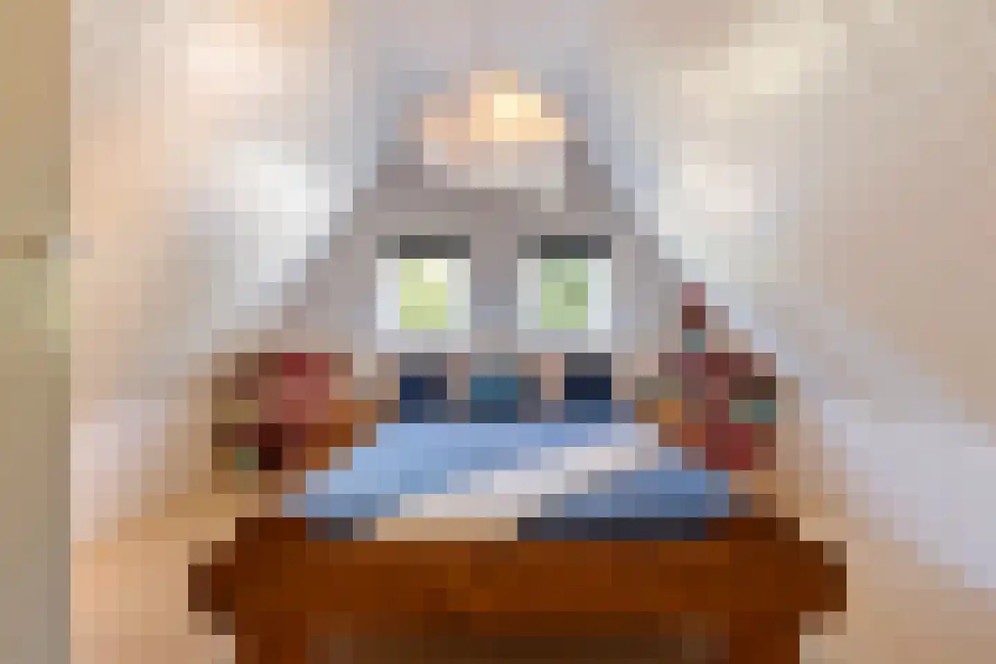 Oude Lindelaan 13 Bellingwolde thumbnail 34