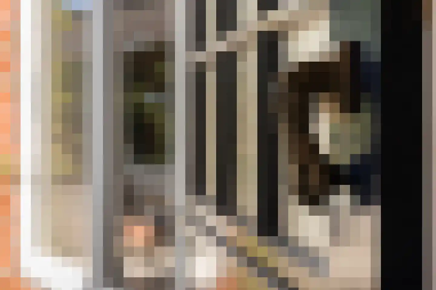 Oude Lindelaan 13 Bellingwolde thumbnail 36