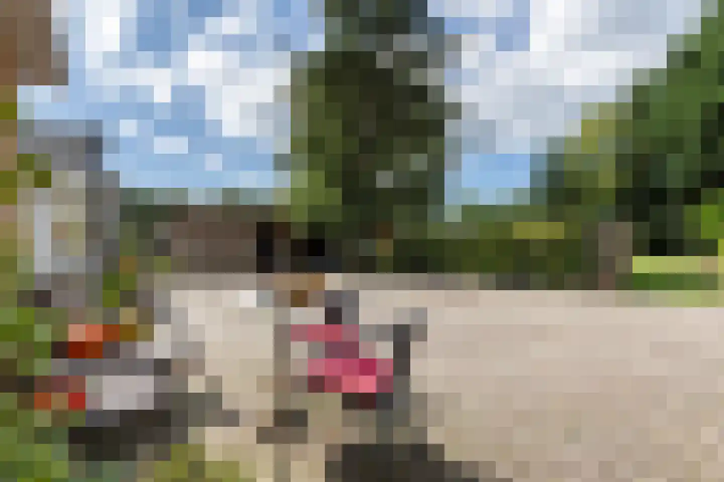 Oude Lindelaan 13 Bellingwolde thumbnail 37