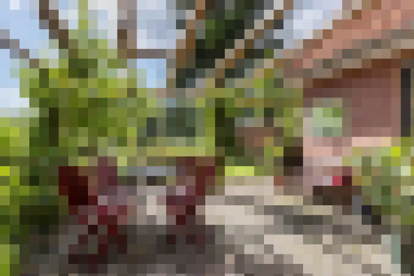 Oude Lindelaan 13 Bellingwolde thumbnail 41