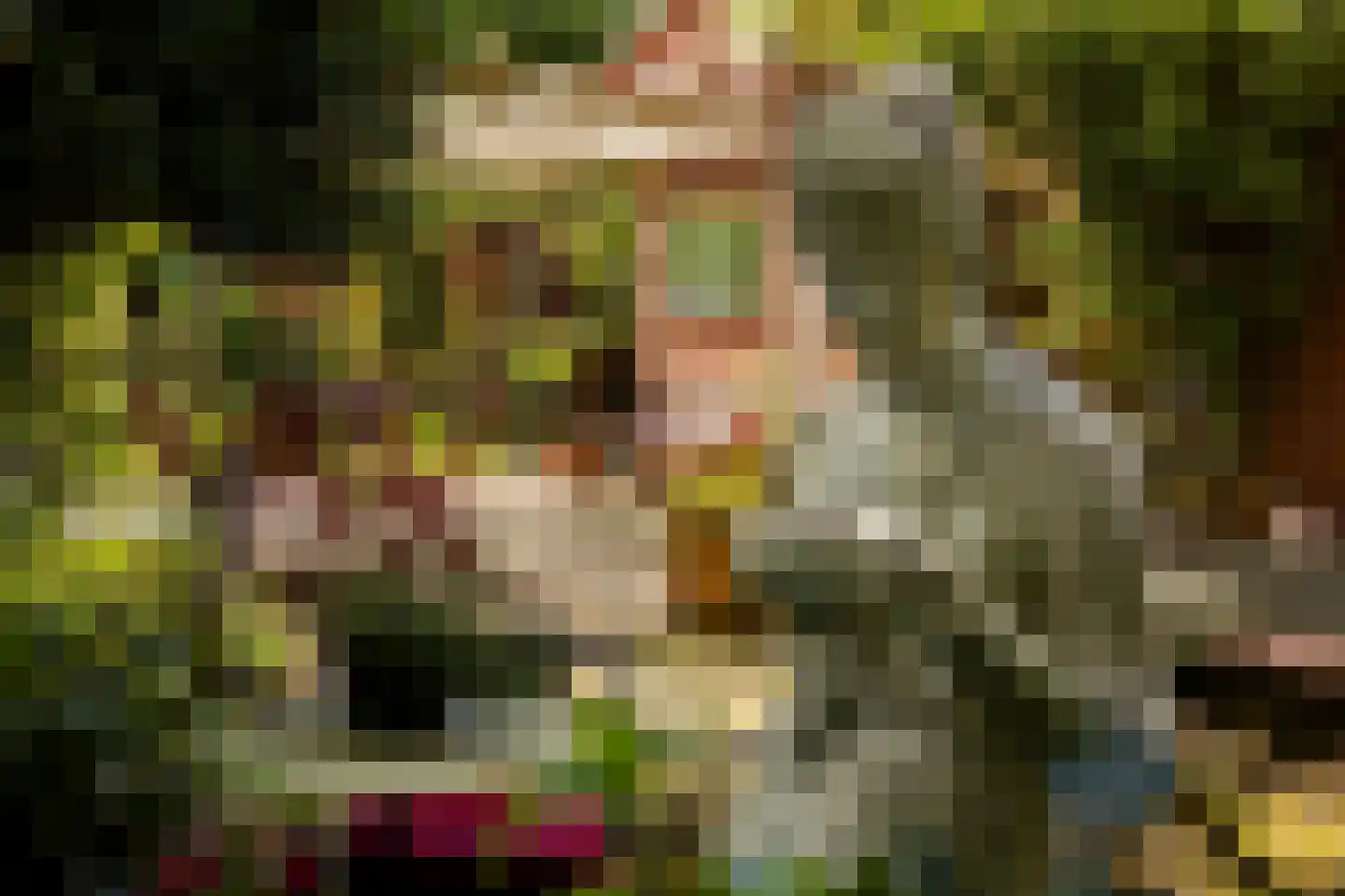 Oude Lindelaan 13 Bellingwolde thumbnail 42