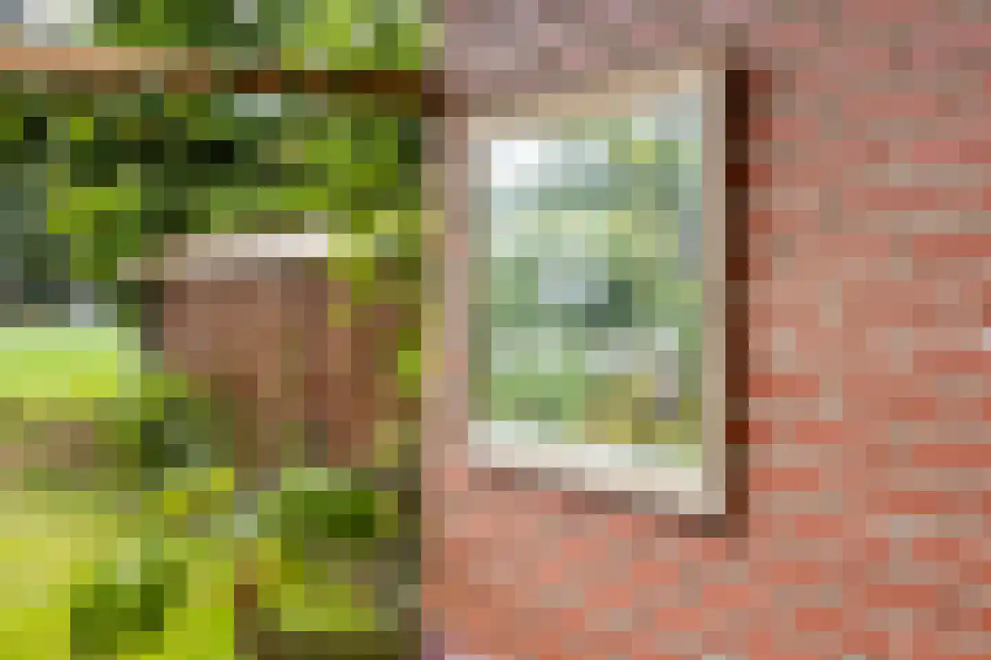 Oude Lindelaan 13 Bellingwolde thumbnail 43