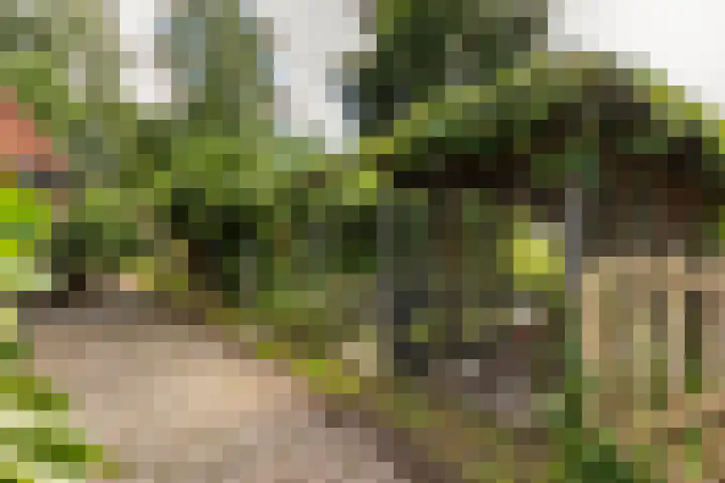 Oude Lindelaan 13 Bellingwolde thumbnail 44