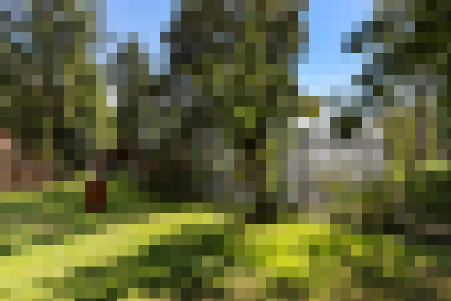 Oude Lindelaan 13 Bellingwolde thumbnail 45