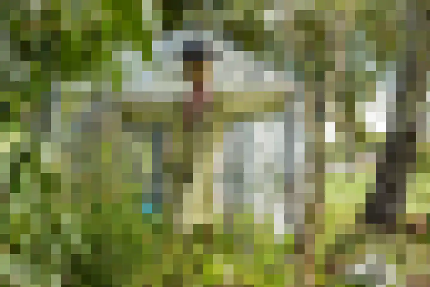 Oude Lindelaan 13 Bellingwolde thumbnail 46