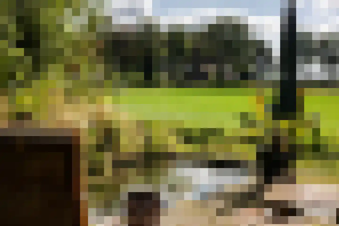 Oude Lindelaan 13 Bellingwolde thumbnail 49