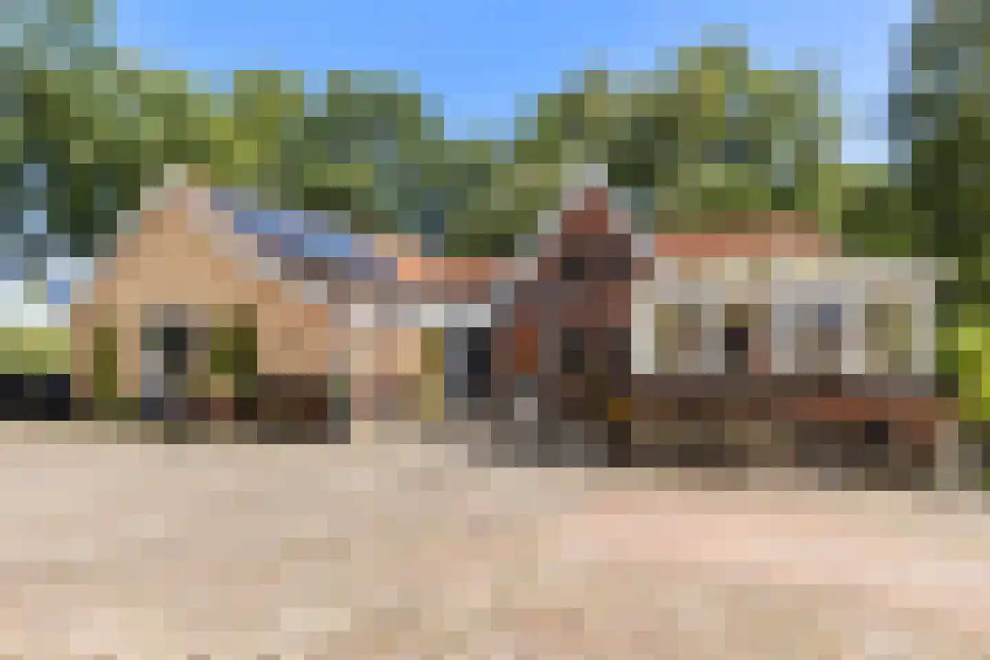 Oude Lindelaan 13 Bellingwolde thumbnail 5