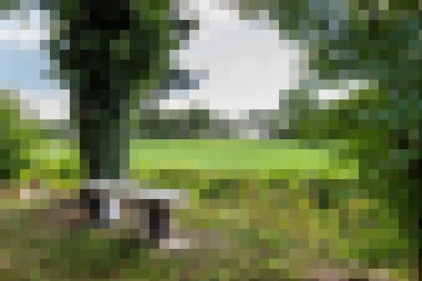 Oude Lindelaan 13 Bellingwolde thumbnail 50