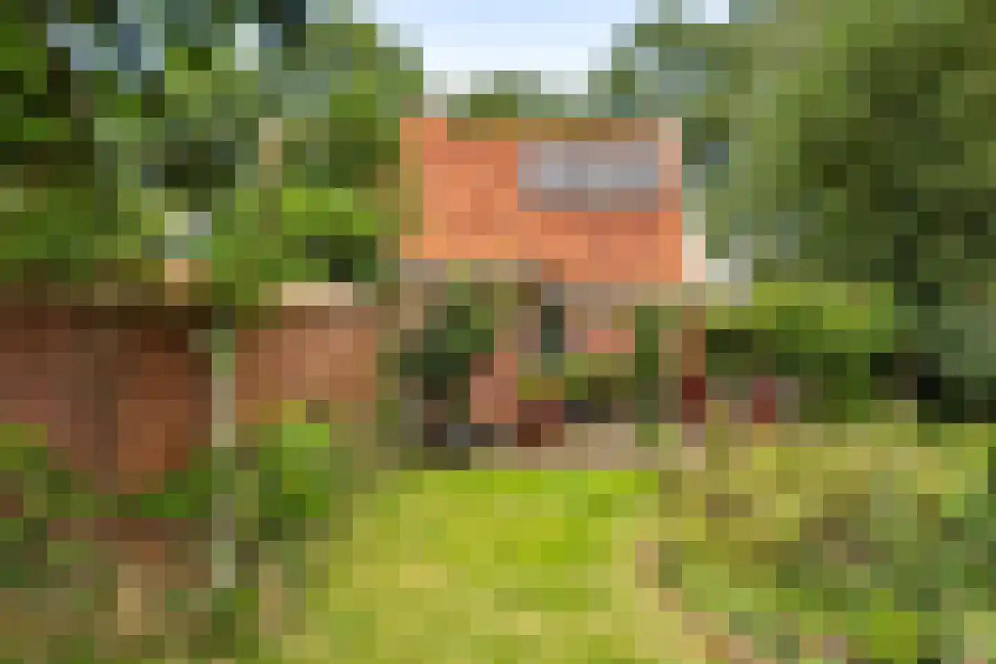 Oude Lindelaan 13 Bellingwolde thumbnail 51
