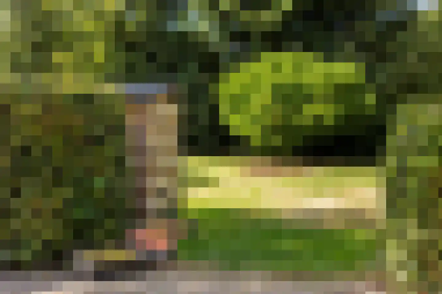 Oude Lindelaan 13 Bellingwolde thumbnail 52
