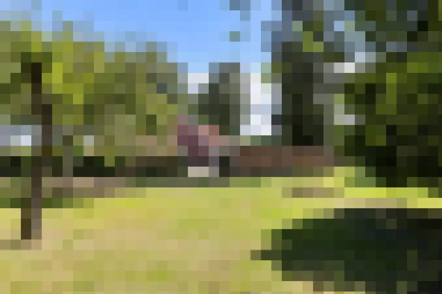 Oude Lindelaan 13 Bellingwolde thumbnail 54