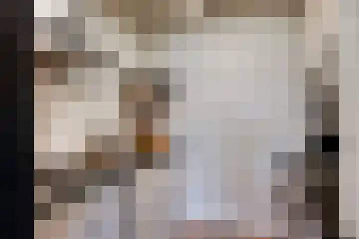 Oude Litherweg 1 B Oss thumbnail 13