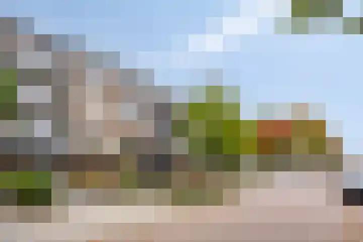 Oude Litherweg 1 B Oss thumbnail 21