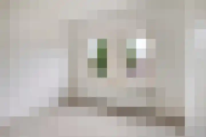 Oude Litherweg 24 Oss thumbnail 18