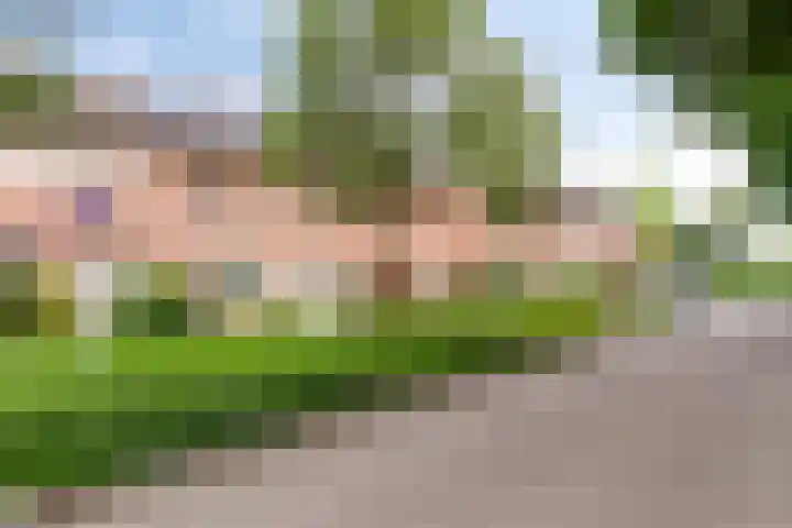 Oude Litherweg 24 Oss thumbnail 6