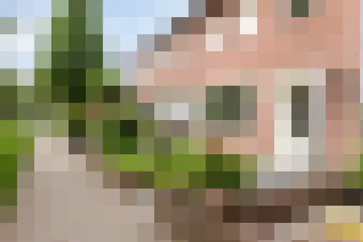 Oude Litherweg 24 Oss thumbnail 8