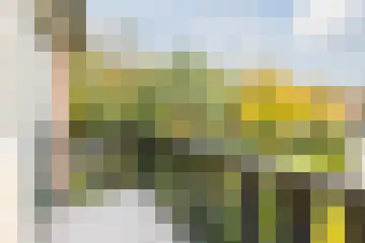 Oude Lochemseweg 7 Laren thumbnail 13