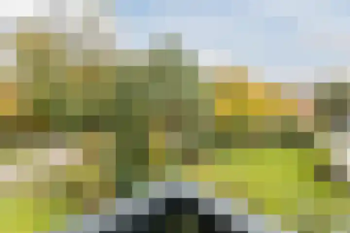 Oude Lochemseweg 7 Laren thumbnail 14