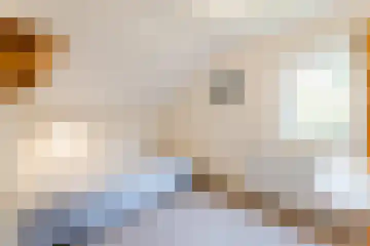 Oude Lochemseweg 7 Laren thumbnail 16