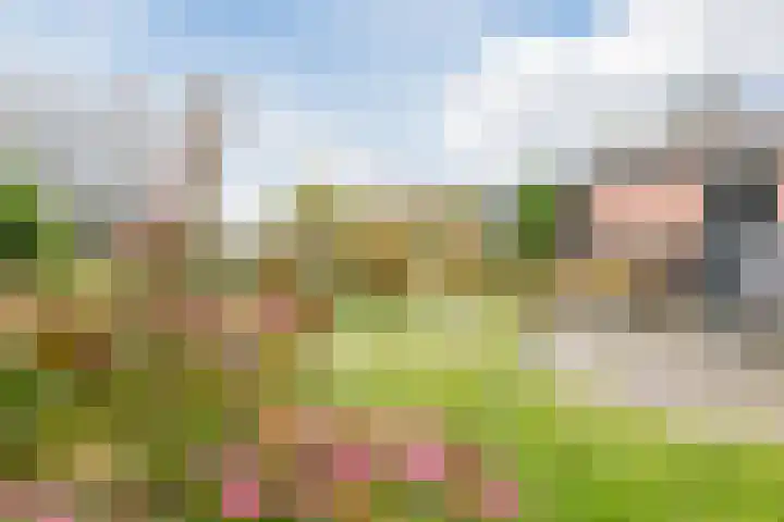 Oude Lochemseweg 7 Laren thumbnail 21