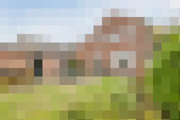 Oude Lochemseweg 7 Laren thumbnail 22