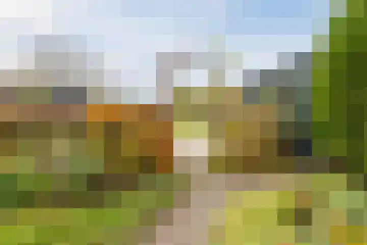 Oude Lochemseweg 7 Laren thumbnail 24