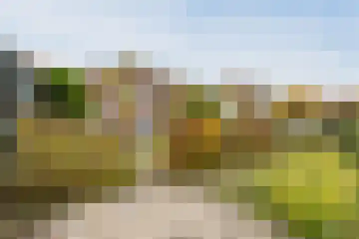 Oude Lochemseweg 7 Laren thumbnail 25
