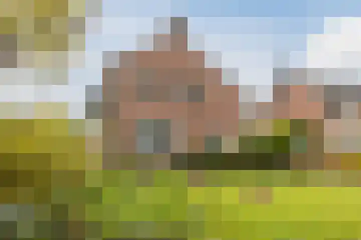 Oude Lochemseweg 7 Laren thumbnail 30