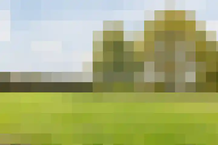 Oude Lochemseweg 7 Laren thumbnail 33