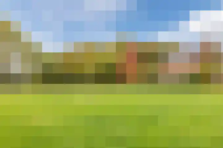 Oude Lochemseweg 7 Laren thumbnail 34