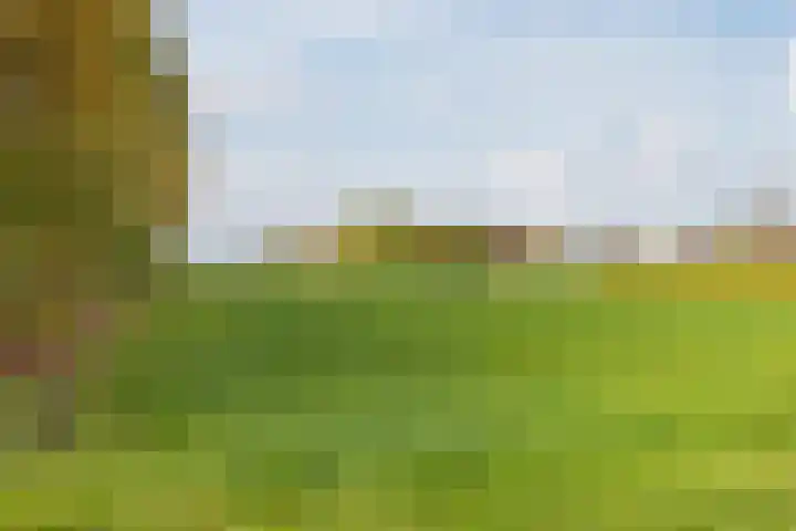 Oude Lochemseweg 7 Laren thumbnail 36