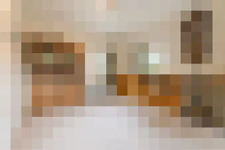 Oude Lochemseweg 7 Laren thumbnail 5