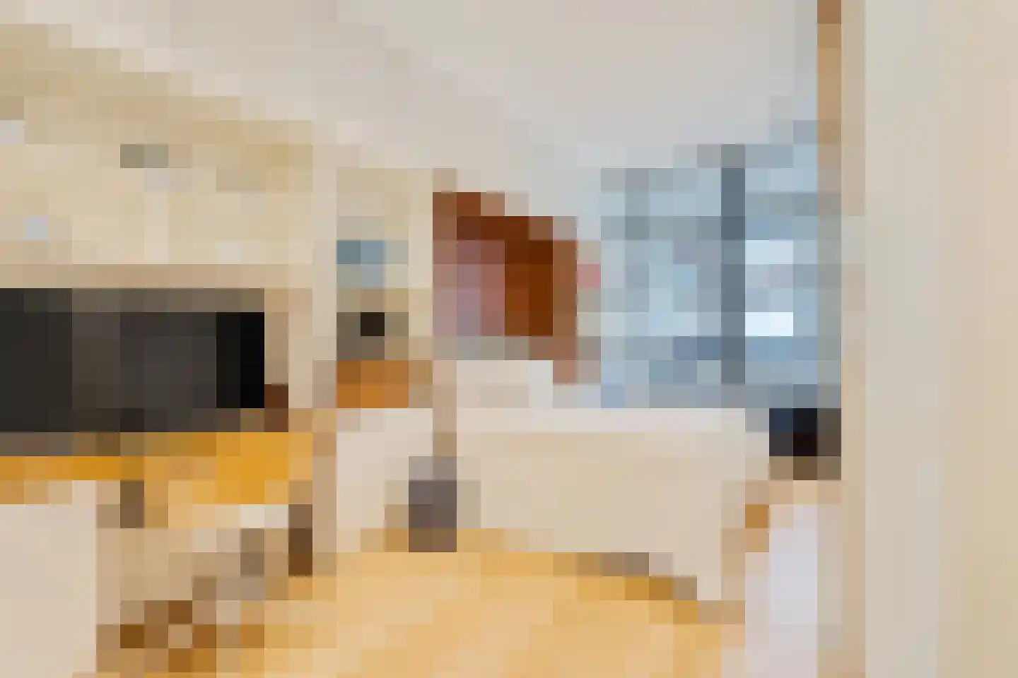 Oude Looiersstraat 89 H Amsterdam thumbnail 20